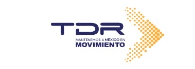 TDR
